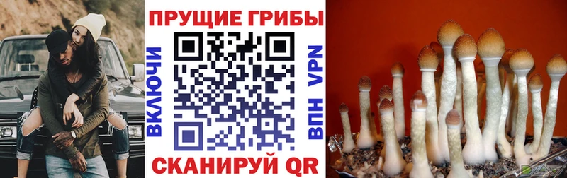 Псилоцибиновые грибы ЛСД  Добрянка 