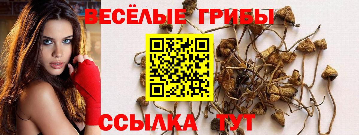 Псилоцибиновые грибы GOLDEN TEACHER  Галлюциногенные грибы Cubensis  Вход с VPN  Добрянка 